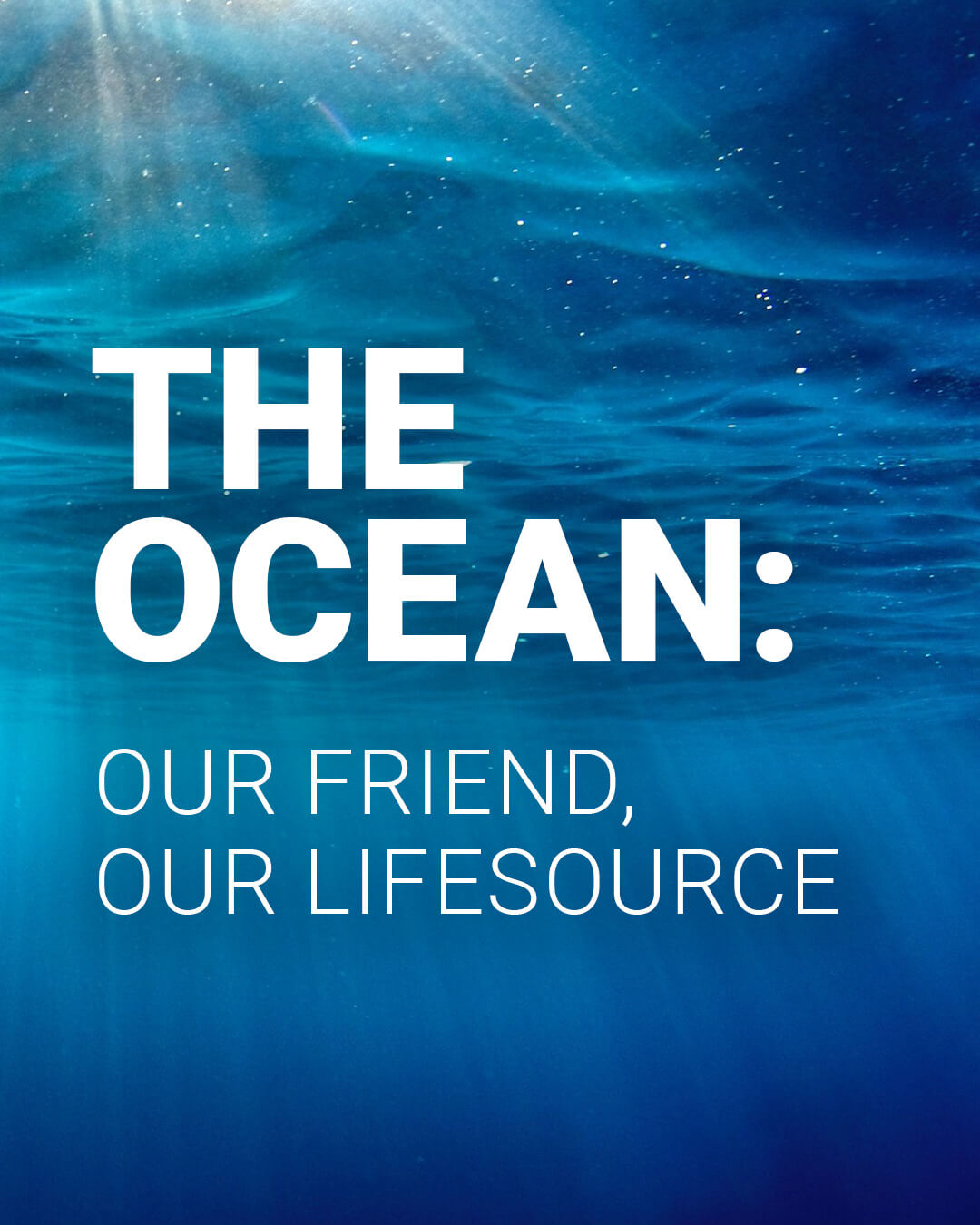 Ocean-Friend-Lifesource_Slider-1